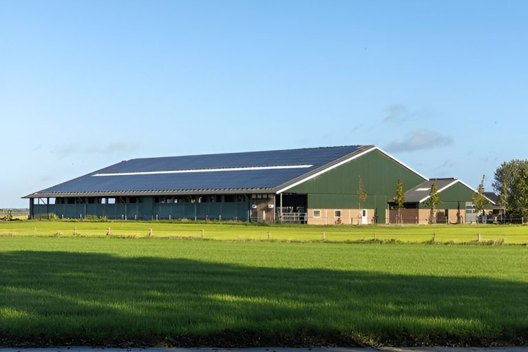 solardach verpachten
