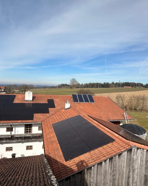 WhatsApp Image 2025-07-04 at 10.48.09